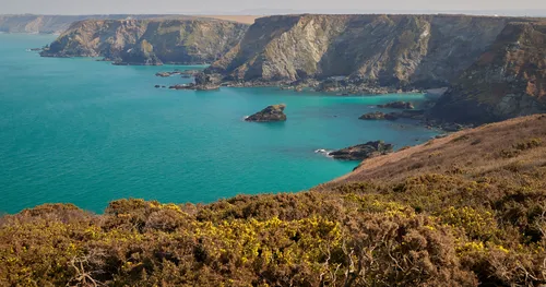 This landscape photograph captures the rugged cliffs of Cornwall along the coast of the United Kingdom during the afternoon in early spring. The turquoise sea contrasts with the natural brown and green hues of the vegetation and the dramatic rocky formations. The vantage point offers a wide view of the coastline, with Sennen Cove and its distinctive steep cliffs forming a prominent part of the scene. The image highlights the natural beauty of the Cornwall coast, showcasing the interaction between land and sea typical of this region’s nature.